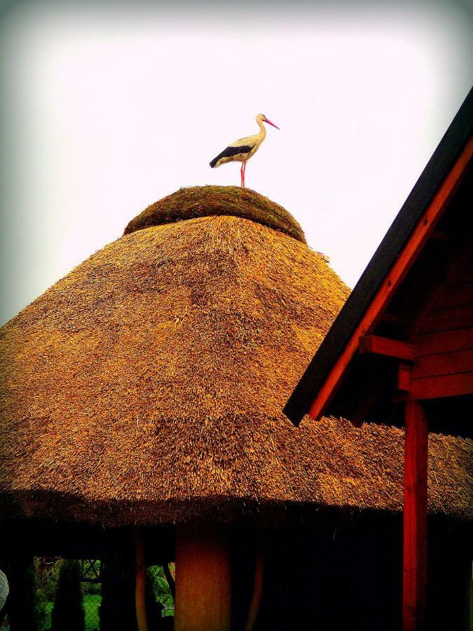 Zagroda Villa Sarbinowo Esterno foto